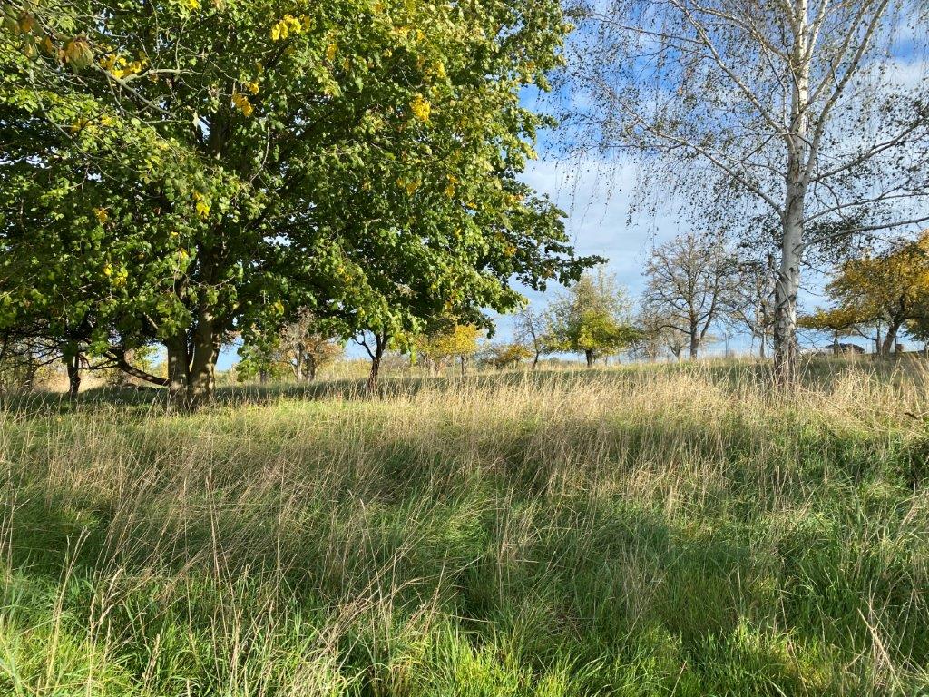 Hausbau geplant? Grundstücke zwischen 600 - 900 m² in begehrter Lage